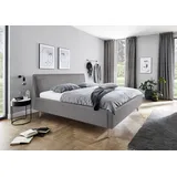 Meise Möbel Polsterbett Frieda mit Lattenrost und Bettkasten grau ¦ Maße (cm): B: 196 H: 105 T: 224.0