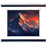 Celexon Rollo Economy 160x120 4:3