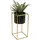 DanDiBo Ambiente Blumenhocker mit Topf 24 x 45 x 24 cm Gold Schwarz