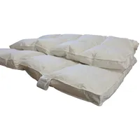 Daunenbettdecke Betten Hofmann Premium Daunendecke 6cm Außensteg Kassetten 4x6 155x220, Füllung: 100% Daunen, Bezug: 100% Baumwolle, warmes Winterbett, hergestellt in Deutschland, hypoallergen weiß
