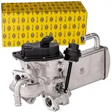 Hella AGR-Modul 6nu358167041 für VW