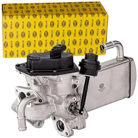 Hella AGR-Modul 6nu358167041 für VW