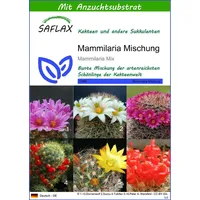 SAFLAX - Kakteen - Mammilaria Mischung - 40 Samen
