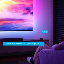 Govee Envisual T2 with Dual Cameras 55 65