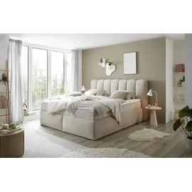 ed exciting design 200 x 220 cm H3 Beige