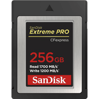 SanDisk Extreme PRO CFexpress Type B 256GB (SDCFE-256G)