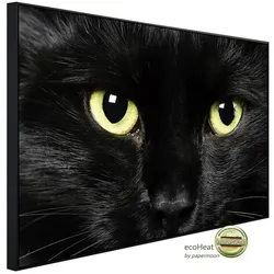 papermoon Infrarotheizung »EcoHeat - Katze«, Matt-Effekt - bunt
