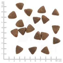 Wolfsblut Wide Plain Light 2 kg