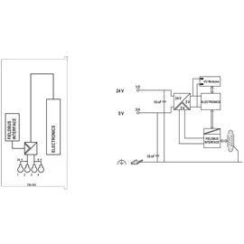 WAGO GmbH& Co. KG Feldbuskoppler Profibus DP ECO 750-343