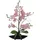 Europalms Orchideenarrangement EVA, lila