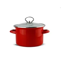 Schäfer Ø 20 cm Bratentopf 2,5 Liter Brat-Kochtopf Brattopf