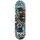 Nils Extreme Skateboard Nils Extreme Spot (CR3108SA)