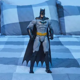 Spin Master DC Actionfigur sortiert