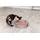 Trixie Race & Scratch ø 37 cm Pink