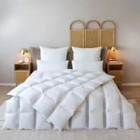 BEFA NATUR Made in Germany Clima Daunendecke 155X220 cm aus 90% Daunen und 10% Federn, Ganzjahresdecke, Allergiker geeignet (Nomite), Öko-Tex 100 Klasse 1, EN Standart 12934, Downpass