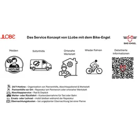 Llobe City E-Bike 26 Zoll RH 125 cm grau