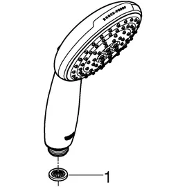 Grohe Tempesta 110 Handbrause 2-Flow Rain/Jet, 26161003