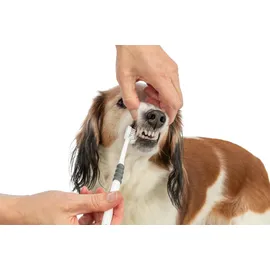 Trixie 3-Kopf-Zahnbürste 18 cm,