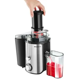 Tectake Entsafter Frufi, 2 Geschwindigkeitsstufen, Edelstahl, 600W