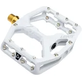Leatt CeraMAG AllMtn 8.0 Ti Flat Bone
