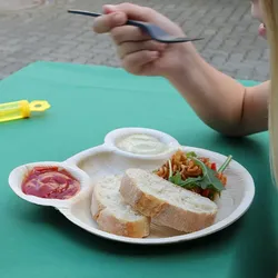 BIOZOYG 12 Stück Kinder-Partyteller in Bärchenform Einwegteller, Palmblatt-Teller, Kompostierbar, Umweltfreundlich, Robust, für Kinder, Süßes Design
