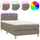 vidaXL Boxspringbett 100 x 200 cm Taupe