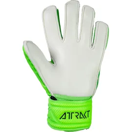 Reusch Torwarthandschuhe Grün 6