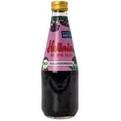 Hollala Sirup Holunderbeere bio