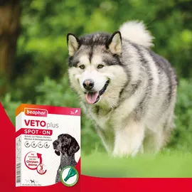 beaphar VETOplus SPOT-ON Ungezieferschutz für Hunde 15-30 kg 3 x 2 ml