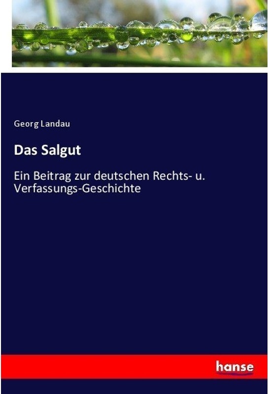 Das Salgut - Georg Landau, Kartoniert (TB)