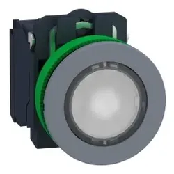 Schneider Electric XB5FWCUST02 Leuchtdrucktaster, Kunststoff, komplett, 30mm, kundenspezifisch via Konfigurator