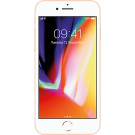 Apple Iphone 8 64 Gb Gold Ab 364 90 Im Preisvergleich