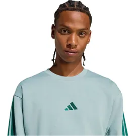 adidas Sweatshirt Wonder Sage/Collegiate Green XL