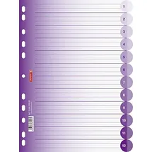 Brunnen Colour Code DIN A4 225 mm Violett 2 St.