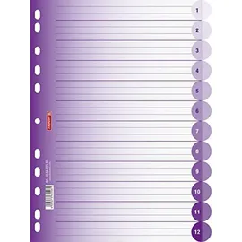 Brunnen Colour Code DIN A4 225 mm Violett 2 St.