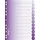 Brunnen Colour Code DIN A4 225 mm Violett 2 St.