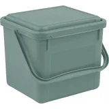 Rotho Komposteimer Bio 5 L misletoe green Komposteimer