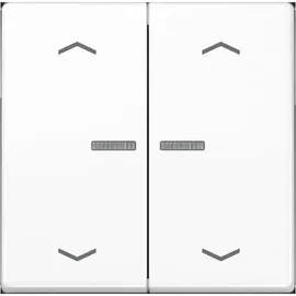 Jung Taster 2fach BT A 17102 P WW