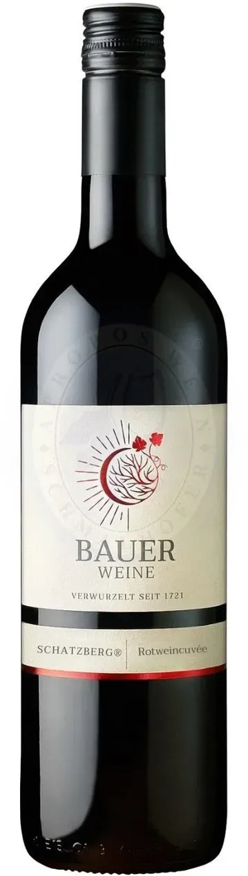 Schatzberg 2019 - Weingut Norbert Bauer 0,75l