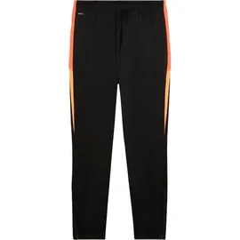 Puma IndividualLIGA Training Herren Sporthose, schwarz F07