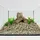 Schicker Mineral Aquarienkies beige 25 kg