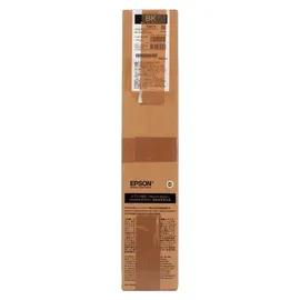 Epson T8871 schwarz