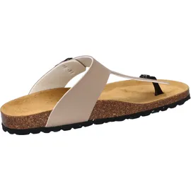 CMP Mymosa Deserto 41
