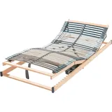 fan Lattenrost Federholzrahmen Punktoflex Premium elektrisch verstellbar Motorrahmen 120x200 cm