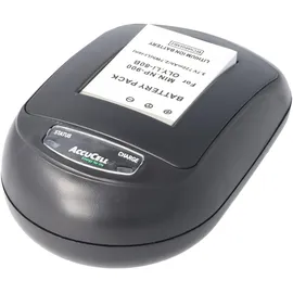 AccuCell Ladegerät und Akku passend für den Akkutyp 02491-0028-00