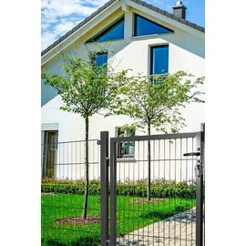 PEDDY SHIELD Gartentor 100 x 125 cm Grau/Metall