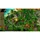 Die Siedler: History Collection