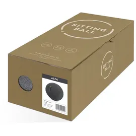 Sitting Ball ALFA Anthrazit 65 cm