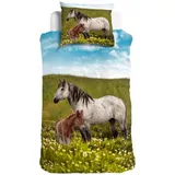 Traumschlaf Bettwäsche Pferde 155x220 cm + 80x80 cm - bunt