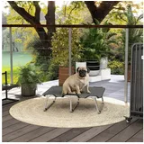 PawHut Erhöhtes Hundebett 71 x 58 cm grau